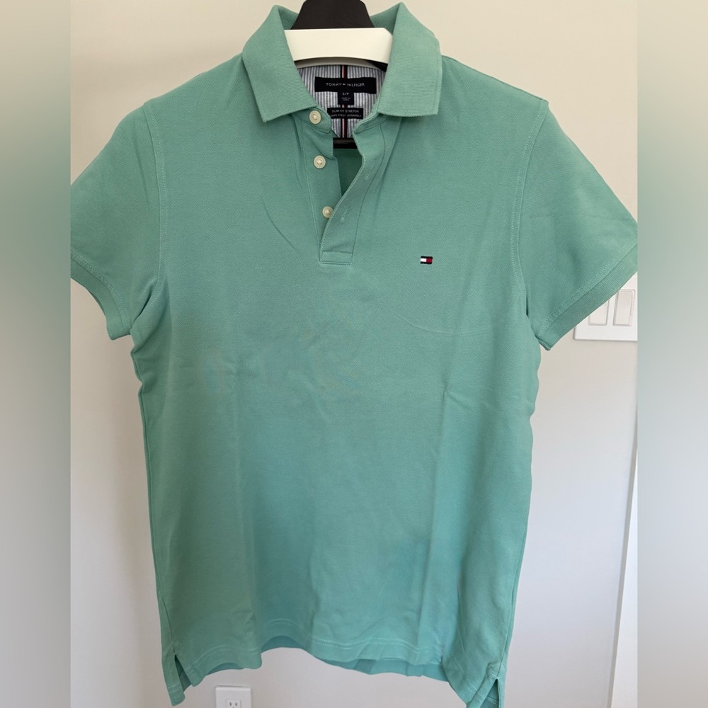 Tommy Hilfiger Mint Green Men's Polo Shirt with Small Flag Logo
